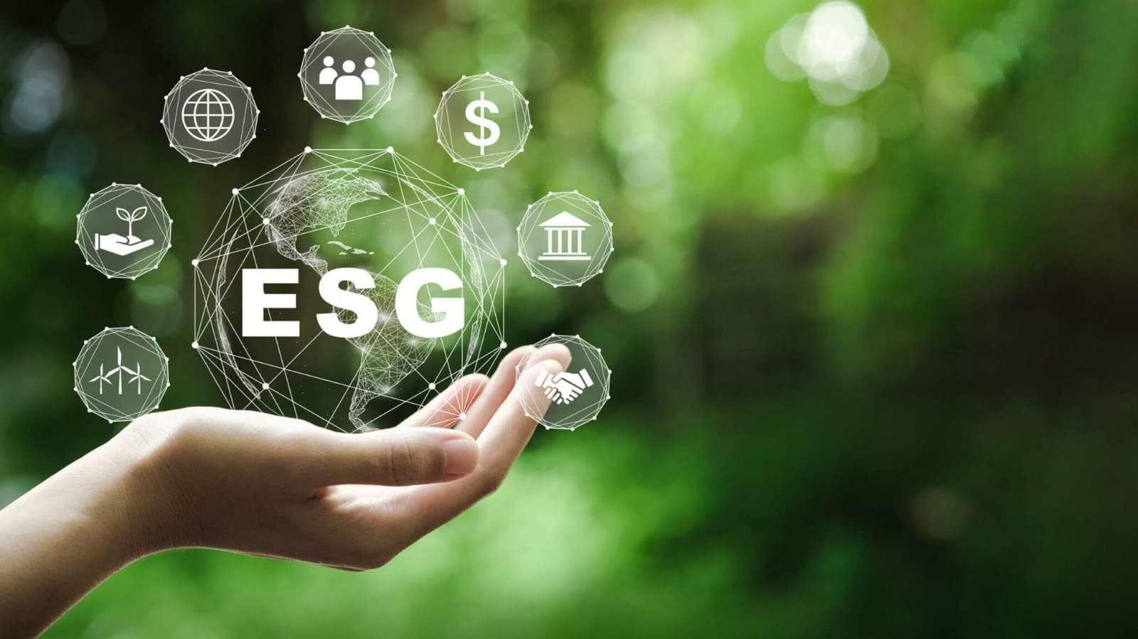 ESG Reporting
